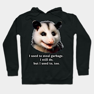 A possum comedian Hoodie